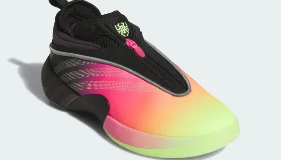 Completed Developed # 7 arrives in France!